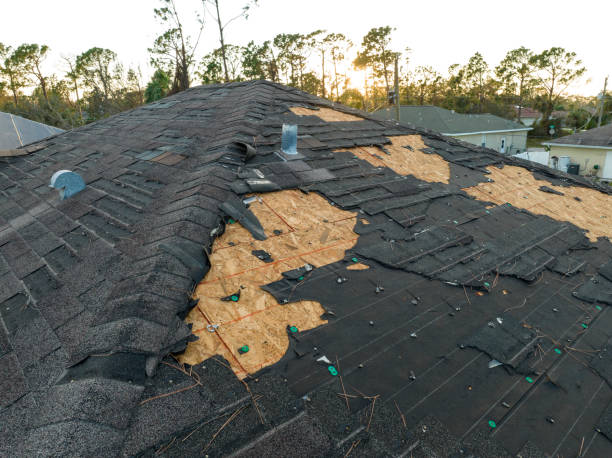 Steel Roofing in Leesburg, GA